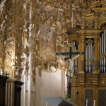 Foto Federico Casino Papia